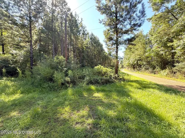 Bethel Rd, Liberty, MS 39645