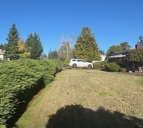 another view of front yard