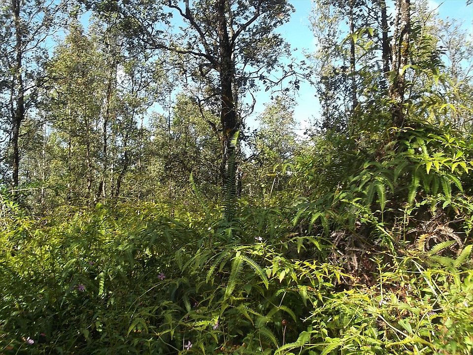 2nd image of Paradise Rd Lot 471