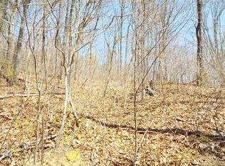 Chambers Mountain Rd, Clyde, NC 28721