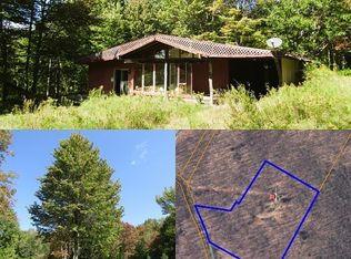 995 Calhoun Hill Rd, Andes, NY 13731