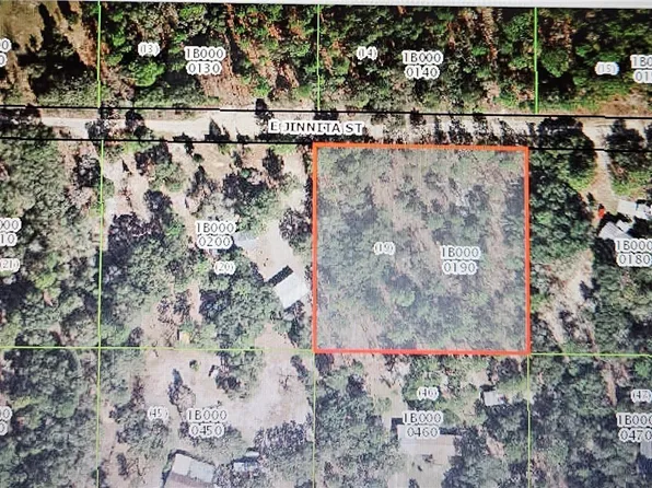 844 E Jinnita St, Hernando, FL 34442