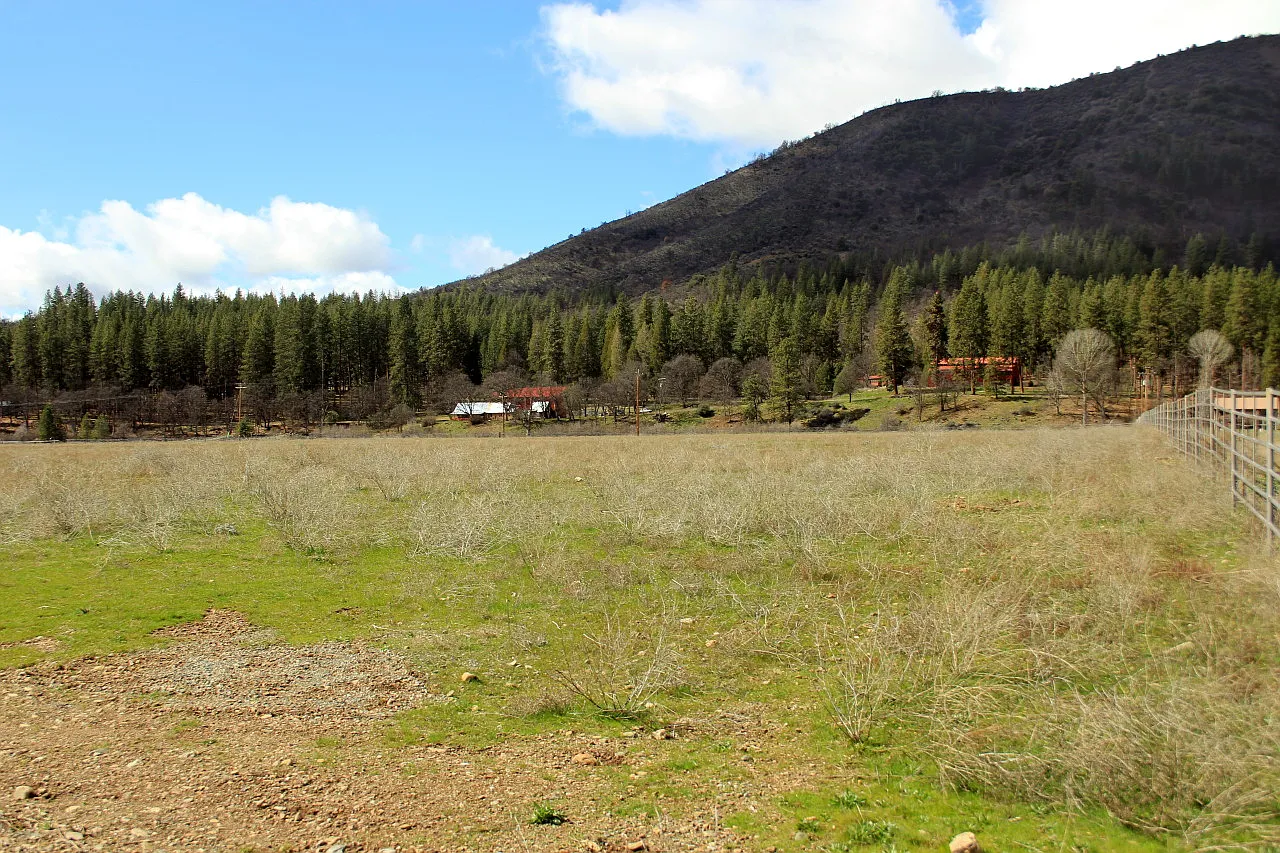14345 Mc Adams Creek Rd photo 1