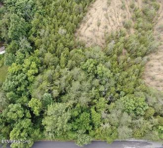 46 Driftwood Cir, Sevierville, TN, 37876