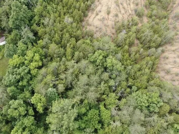 46 Driftwood Cir, Sevierville, TN 37876