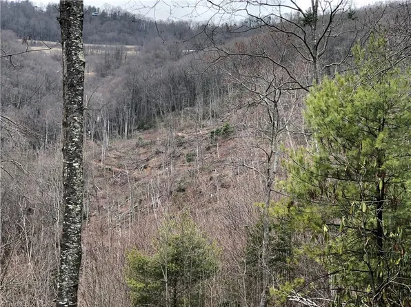 0 Pauls Creek Rd, Cana, VA 24317