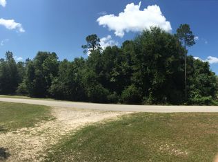 305 Diamond Trl, Hastings, FL 32145