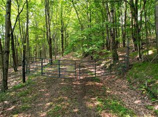 0 Red Kill Rd, Fleischmanns, NY 12430