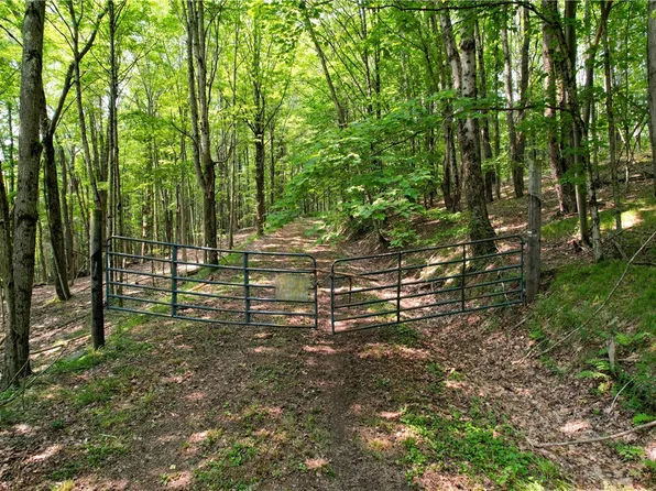 0 Red Kill Rd, Fleischmanns, NY 12430