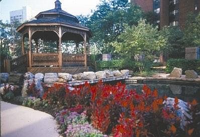 garden and bbq area