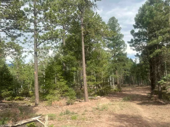 230 Palo Flechado Ridge Road, Angel Fire, NM 87710