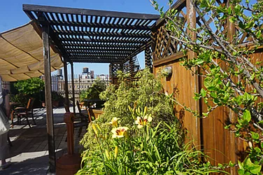 Rented by Maz Group NY