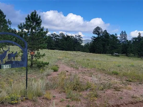 232 Coyote Ln, Guffey, CO 80820