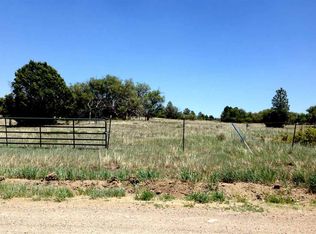 Lot 8, Deer Trail #CHAMA WEST, Chama, NM 87520