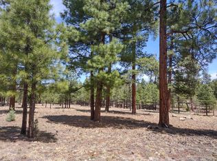 4382 Jack Pine Pl, Happy Jack, AZ 86024