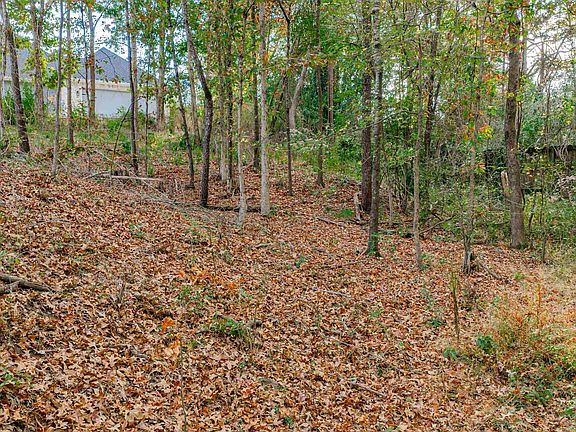 3rd image of 0 Savannah Hills Ln