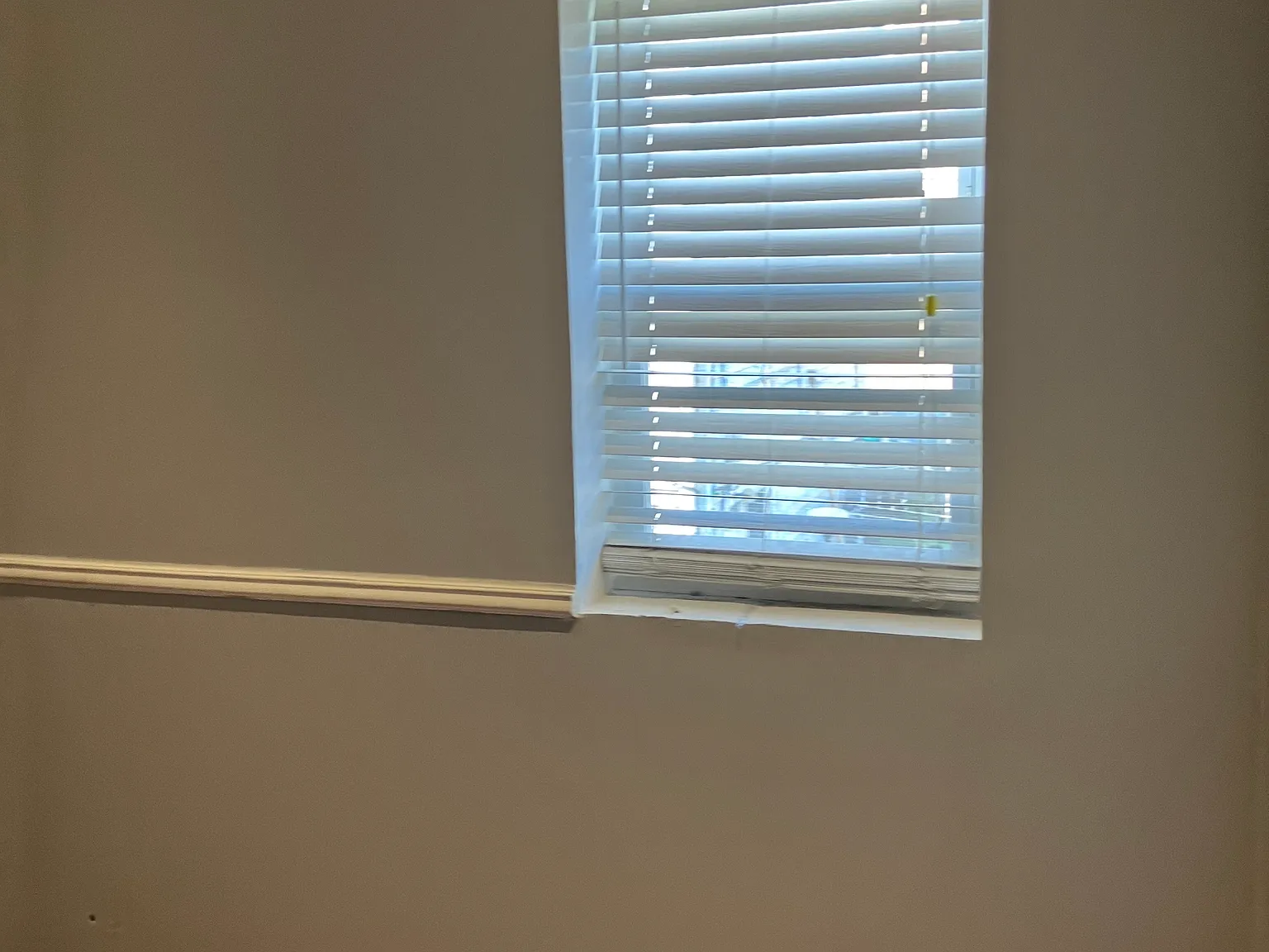 3 bed, 1100 sqft, $600 — Photo 3
