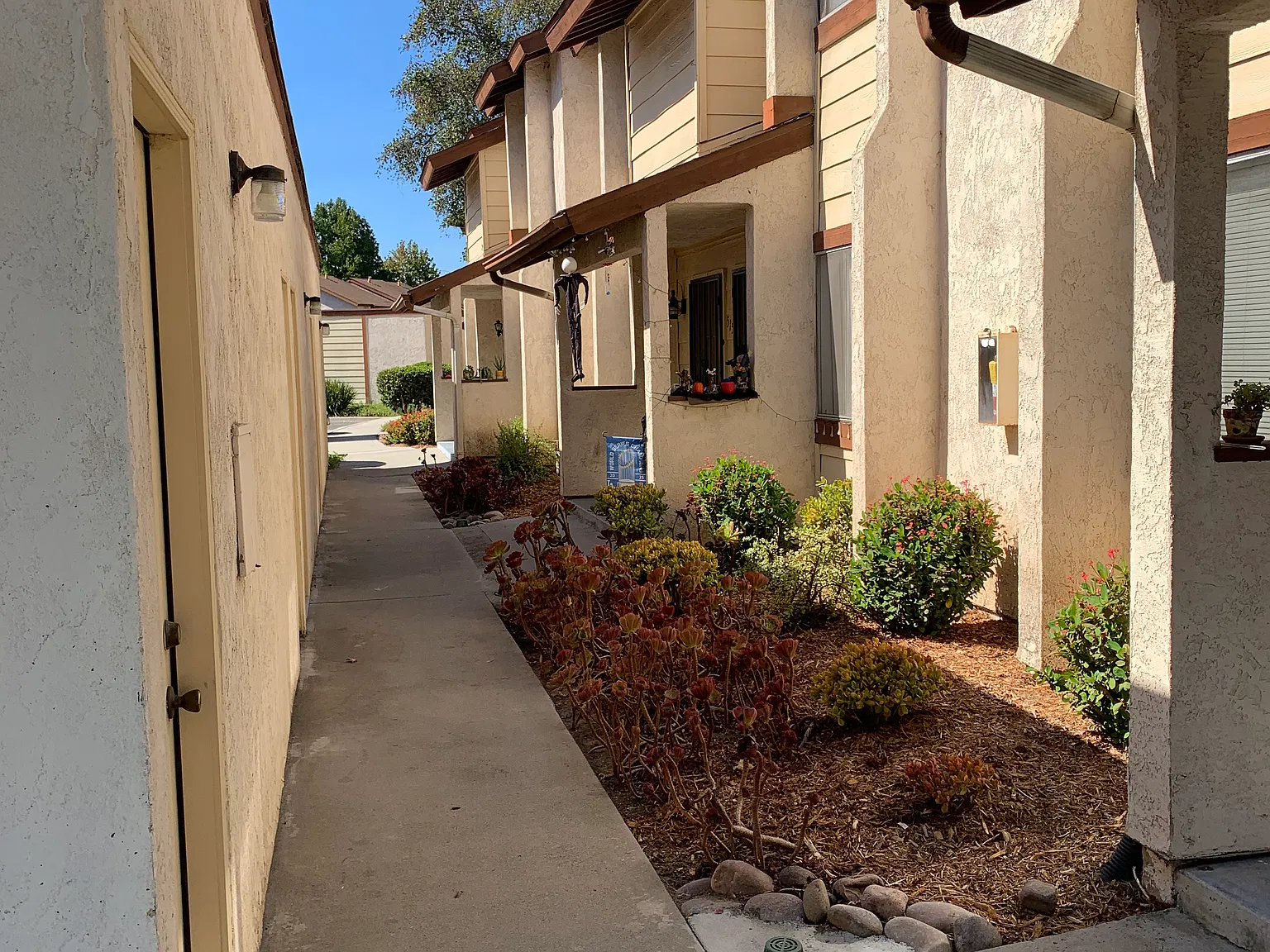 2 bed, 1.5 bath, 992 sqft, $3,250 — Photo 4