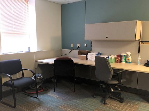 Large Windows Look onto Woods