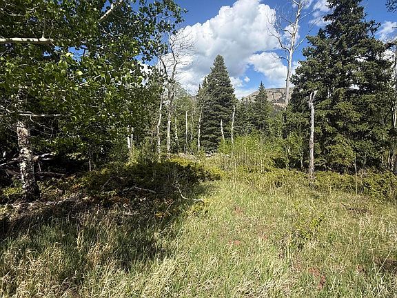 5th image of Baker Creek Road Panadero Loop Lot 27