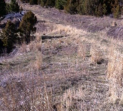 5th image of Alder Gulch