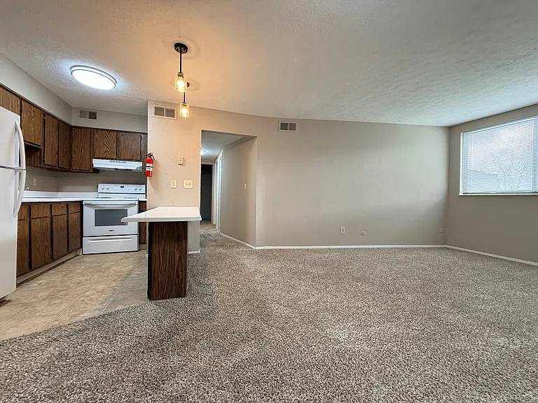 Living room/ Kitchen