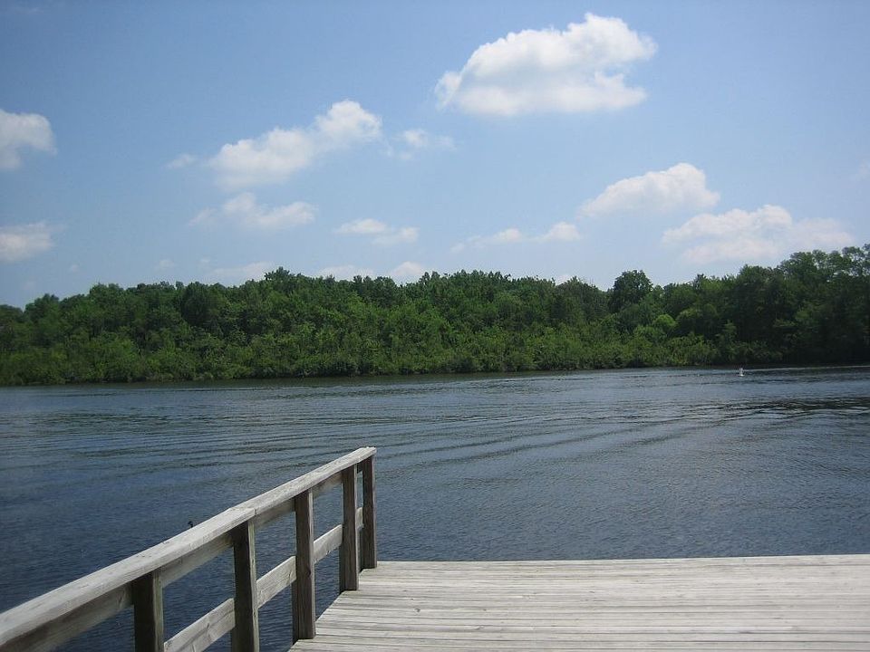 Close Up River View
