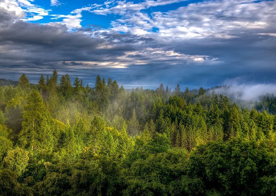 View from deck