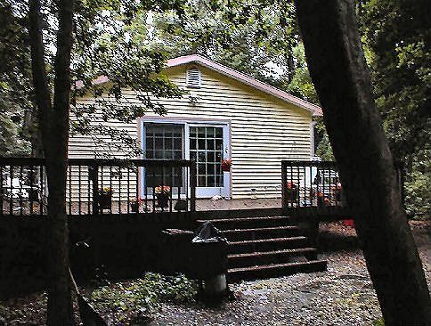 Where the woods meet the bay.