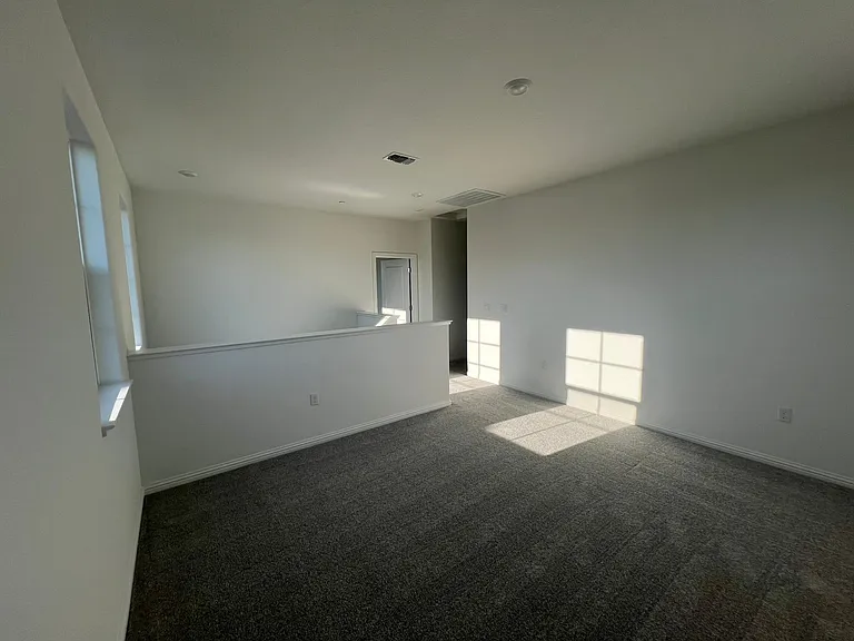 3137 Barnowl Way — Photo 23
