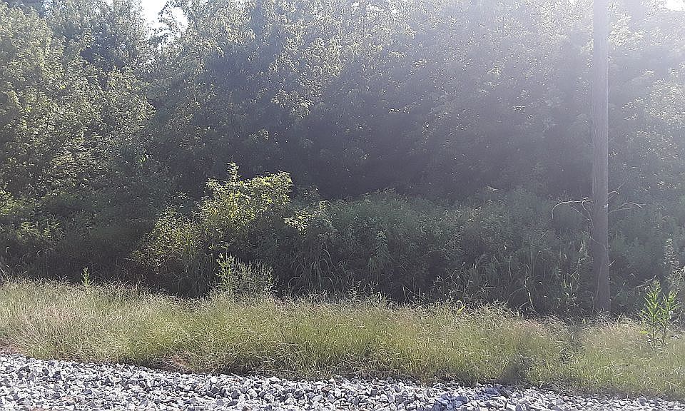 2nd image of 0000 Corncrest Ln