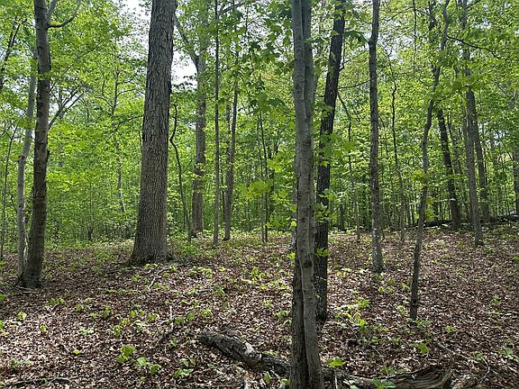 4th image of LOT 22 24 Lakefront Dr