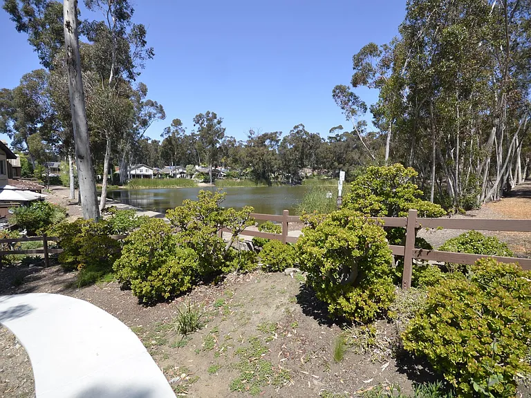 Walkway to pond