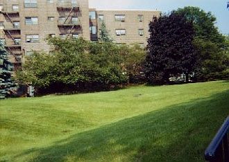 1st image of 3020 Edwin Ave APT 1C