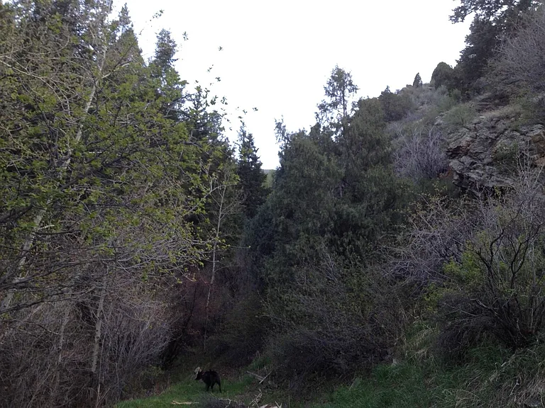 2056 E Idaho Springs Rd #1 — Photo 9