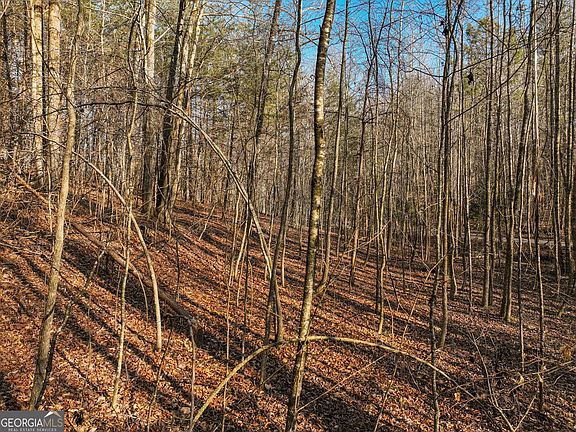 2nd image of 12 Mount Mincie Rd