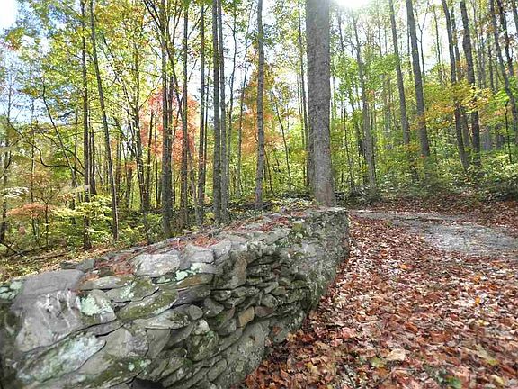 5th image of 1255 Shuler Rd Lot 0