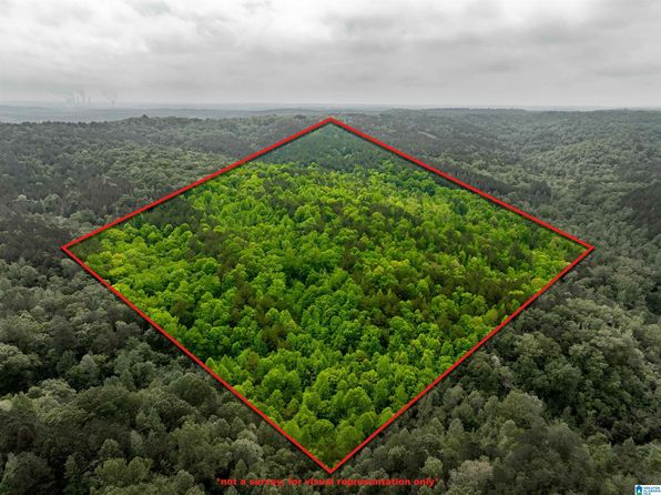 0 Willow Fork Rd #0, Quinton, AL 35130
