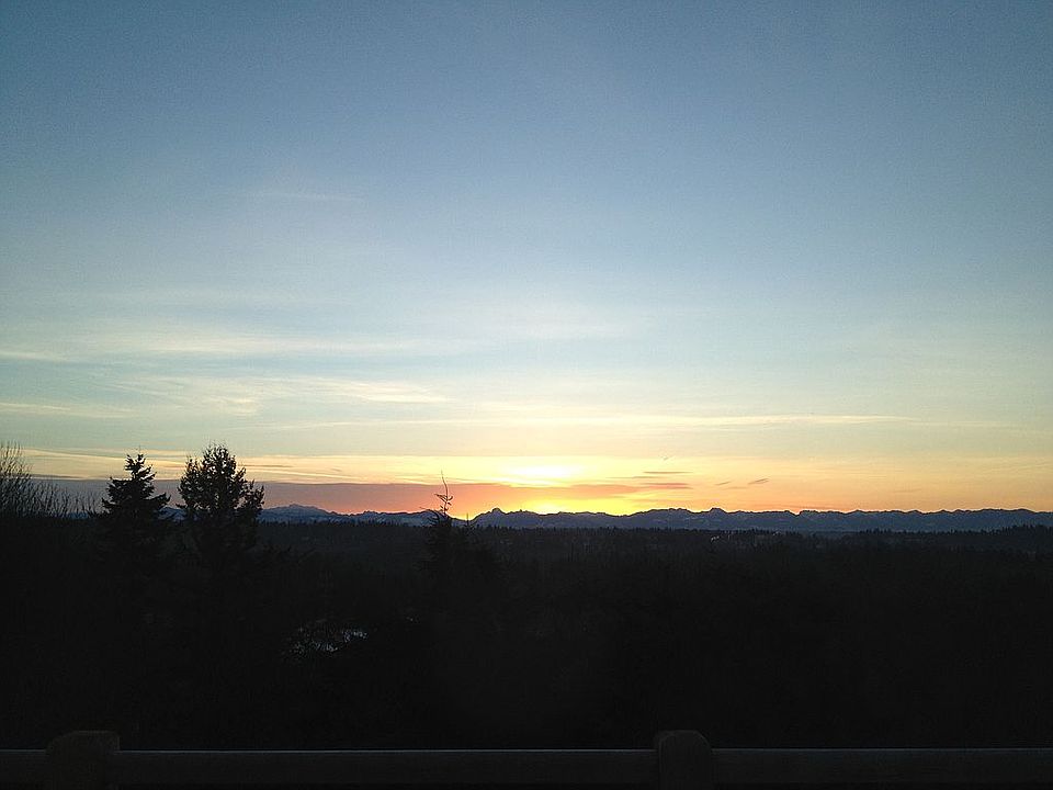 Morning view