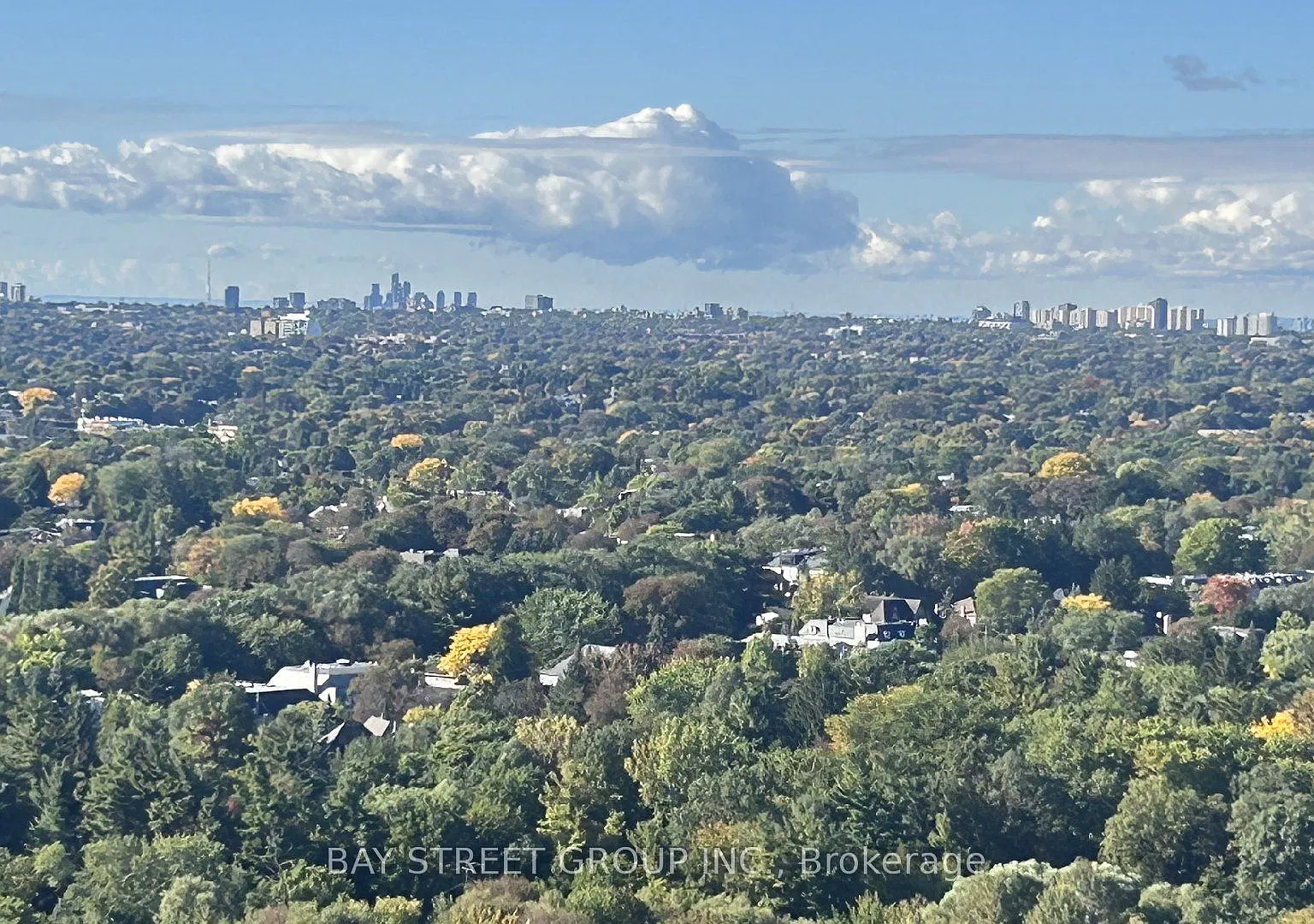 3 bed, $3,950 — Photo 4