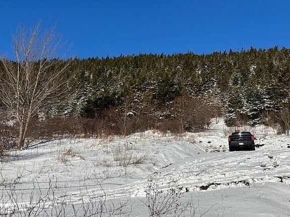 4th image of 343 Main Road