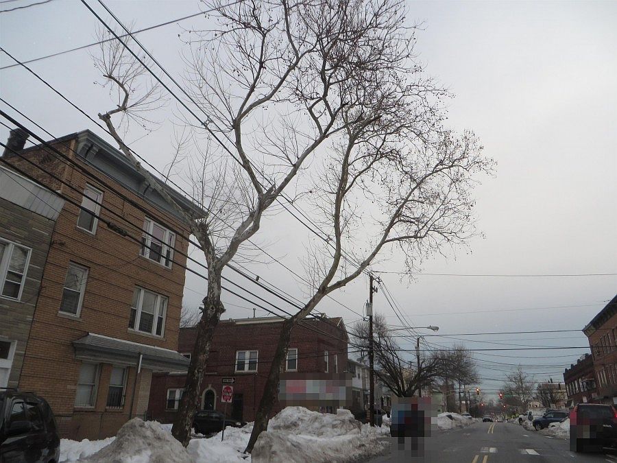 2nd image of 181 Mallory Ave