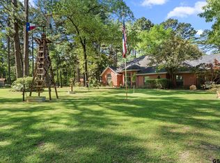 19132 Falls Creek Dr, Flint, TX 75762