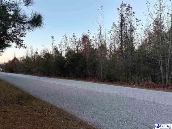 Scottland Rd, Dillon, SC 29536