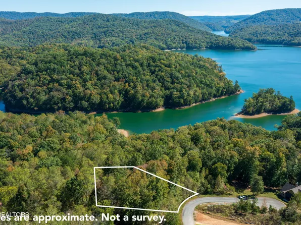 Alum Dr, New Tazewell, TN 37825