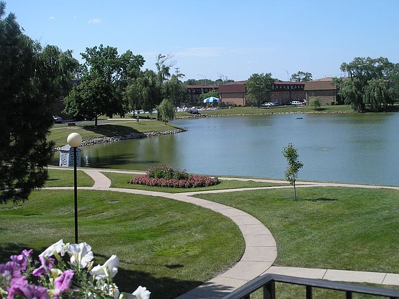 Beautiful View of Lake and Pine trees from Balcony