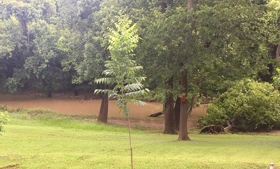 2nd image of 308 Creekside Dr