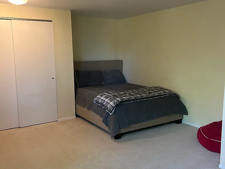 Lower Level Bedroom
