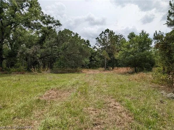 653 County Road 665, Ona, FL 33865