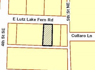 409 E Lutz Lake Fern Rd, Lutz, FL 33549